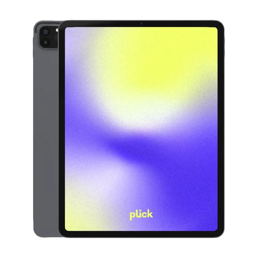 iPad Pro 12.9" (2021) (5.gen)